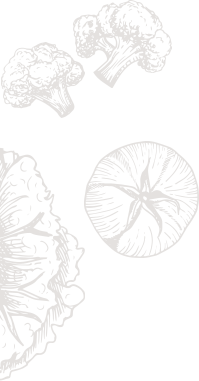 Fondo decorativo de Victor 4