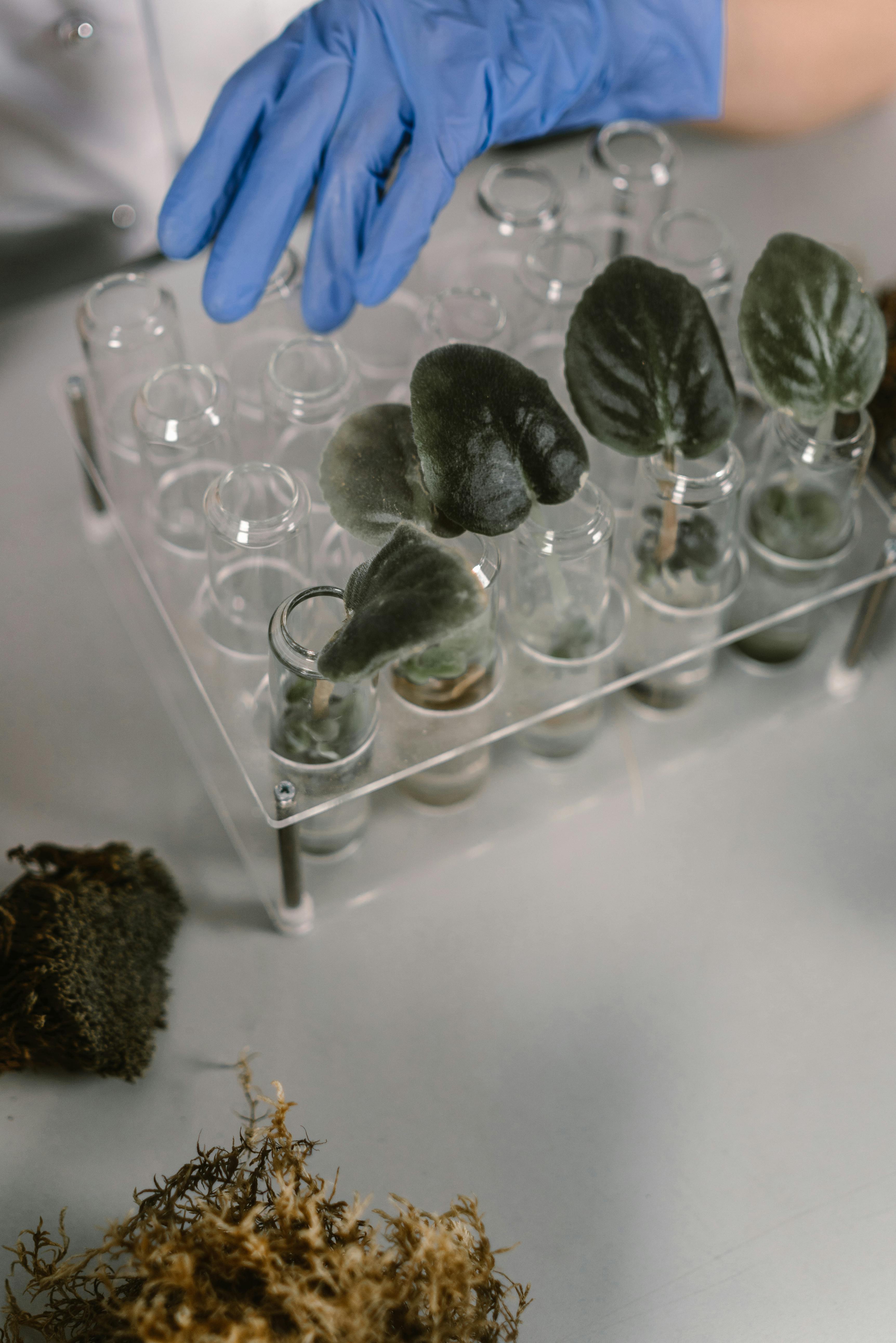 Actividades de Investigación y Desarrollo